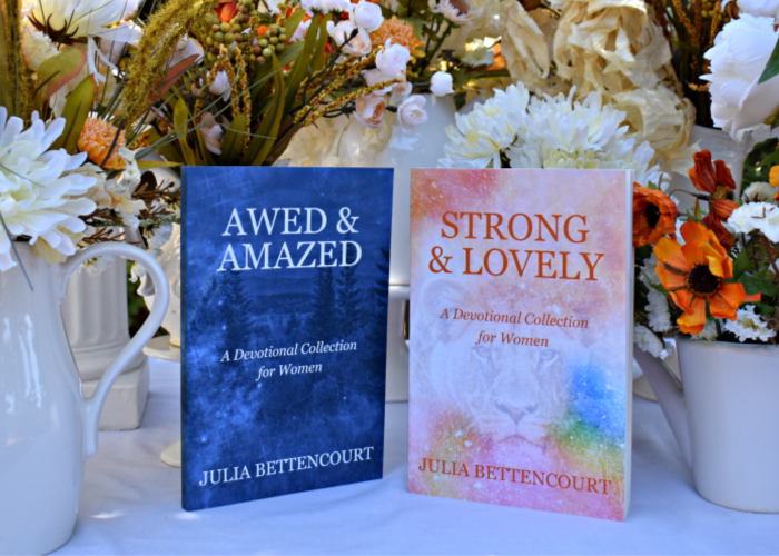 Book Launch Wrap-Up | Julia Bettencourt Blog