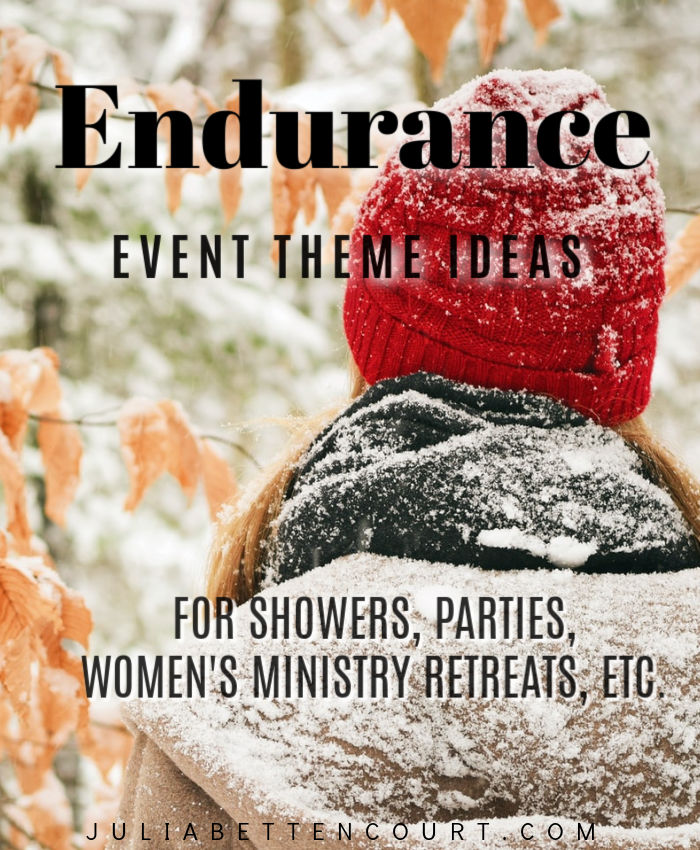 Endurance Winter Party Theme