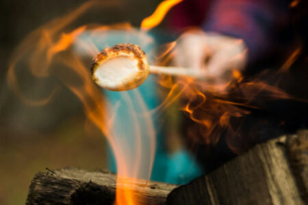 Smores and Camping Party Ideas
