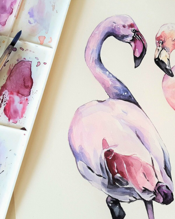 Flamingo Devotional