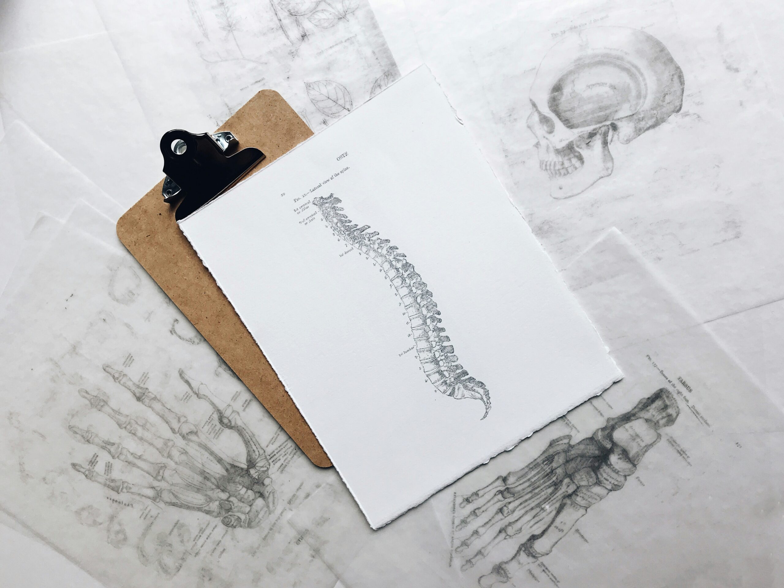 Modern Solutions People Swear By for Chronic Back Pain